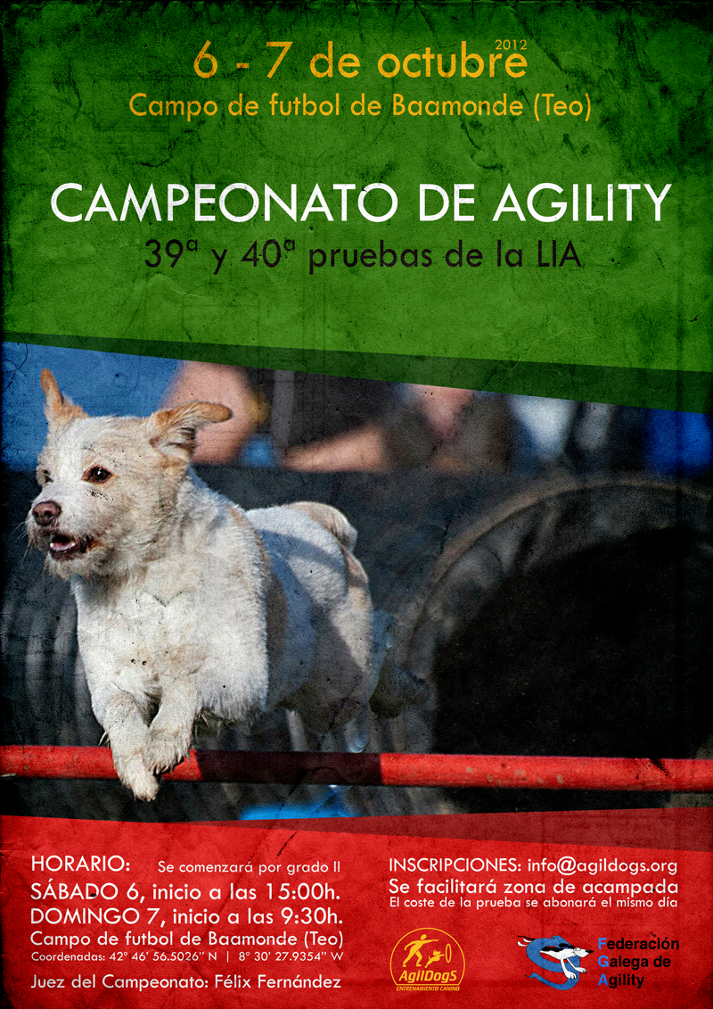 Campeonato de agility (Teo 2012)